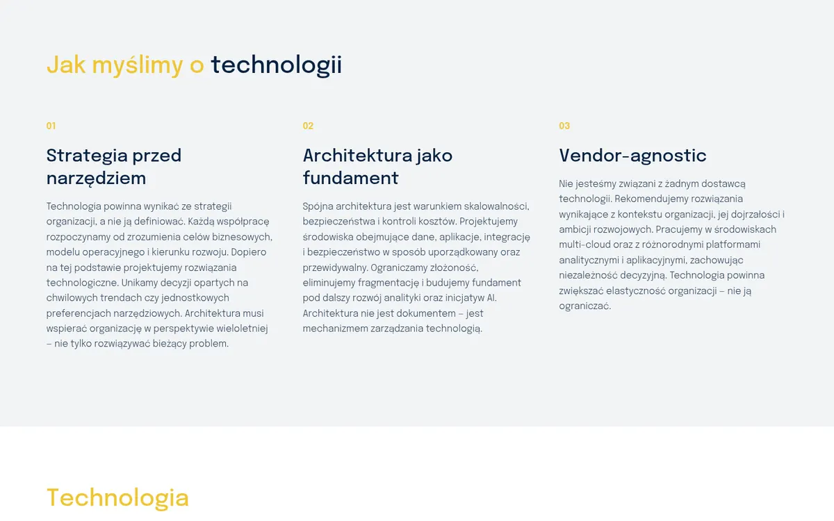 CloudInsight — widok strony na komputerze (1)