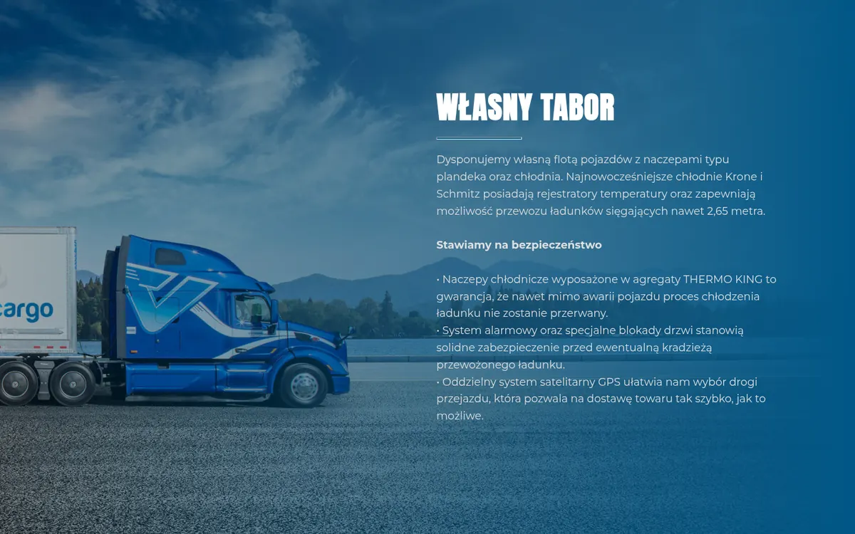 Convey Cargo — widok strony na komputerze (1)