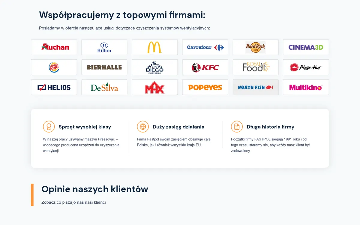 Fastpol (Fastclean) — widok strony na komputerze (1)