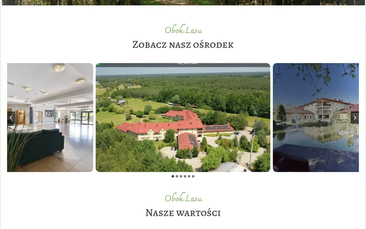 Dom Opieki Obok Lasu — widok strony na komputerze (1)