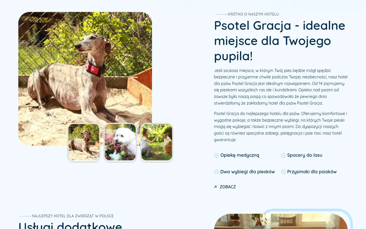 Psotel Gracja — widok strony na komputerze (1)