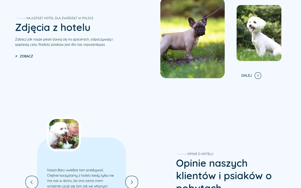 Psotel Gracja — widok strony na komputerze (2)