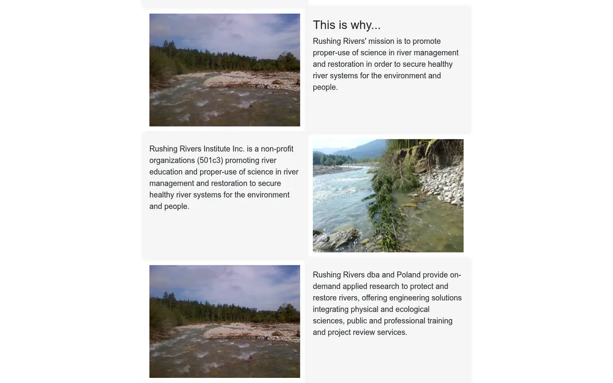Rushing Rivers Institute — widok strony na komputerze (1)