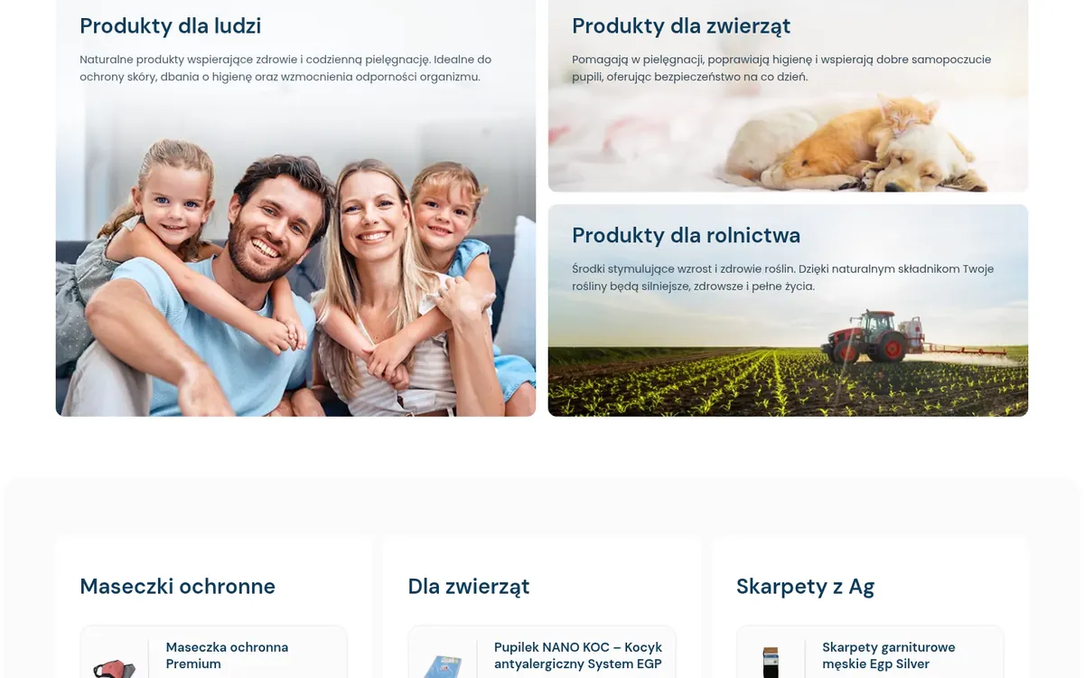 SMKA — widok strony na komputerze (2)