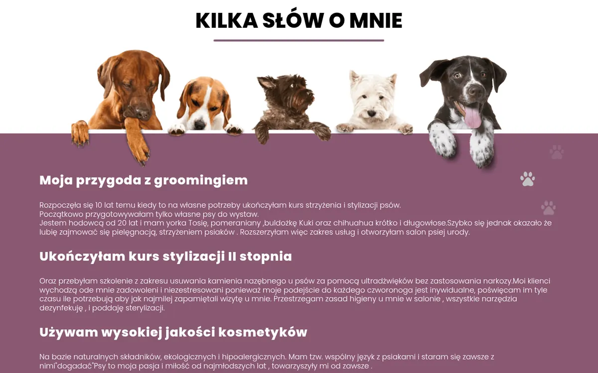 Studio Gracja – Studio psiej urody — widok strony na komputerze (1)