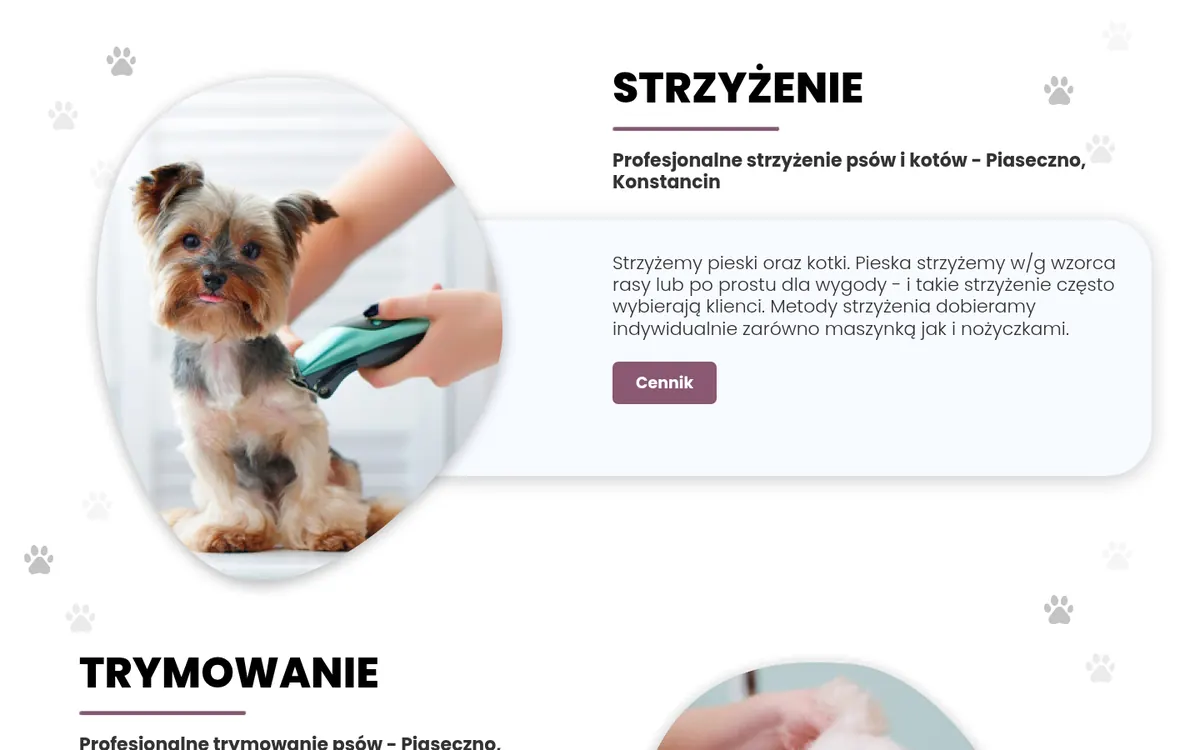Studio Gracja – Studio psiej urody — widok strony na komputerze (2)